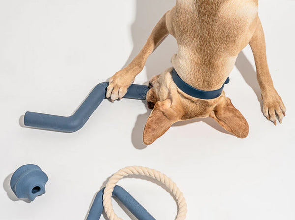 Pet food collection image